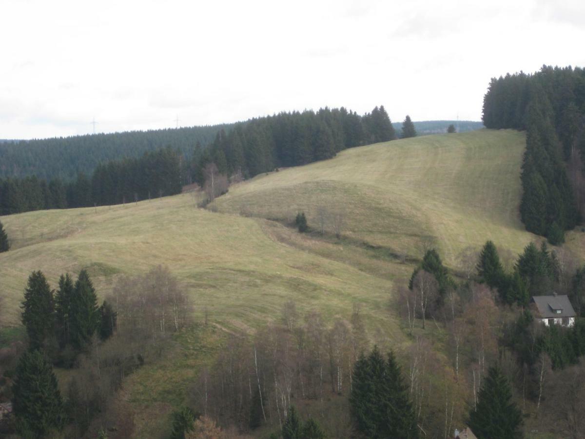 Fewo Therme im Oberharz Altenau  Exterior foto
